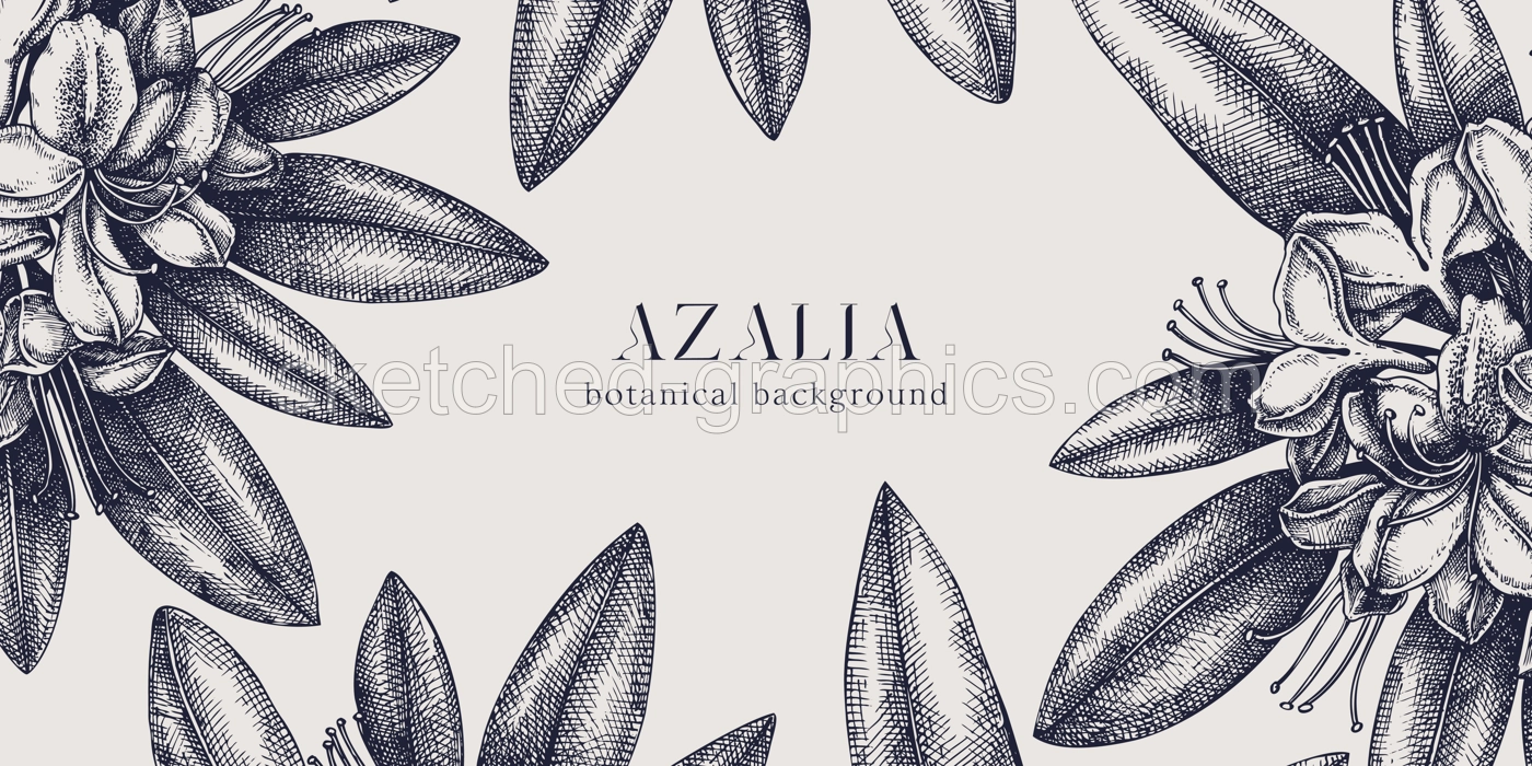 Floral background. Vector frame with hand drawn azalea sketches. Vintage design with rhododendron flowers and leaves. Evergreen plants botanical illustration for banner, postcards, web Illustration